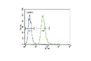 TNFR- Antibody (ABIN655093 and ABIN2844728) flow cytometric analysis of A549 cells (right histogram) compared to a negative control cell (left histogram). (TNFR-S274 (AA 252-281) 抗体)