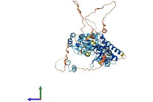 AlphaFold protein structure predicition of Human Recombinant IRAK2 Protein, UniprotID O43187
