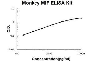Monkey Primate MIF PicoKine ELISA Kit standard curve (MIF ELISA 试剂盒)