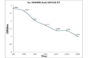 Antigen: 0. (HPV16 E7 抗体  (Middle Region))