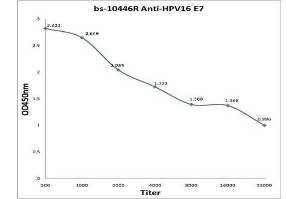 HPV16 E7 抗体  (Middle Region)