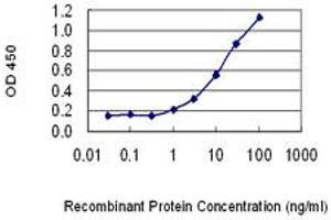 Detection limit for recombinant GST tagged PKIB is 0. (PKIB 抗体  (AA 2-54))