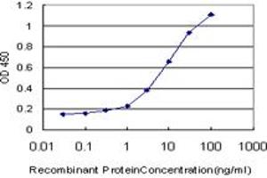 Detection limit for recombinant GST tagged TEK is approximately 0. (TEK 抗体  (AA 701-800))