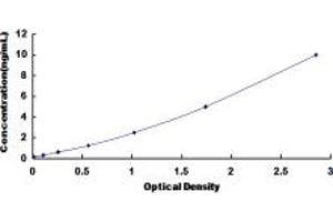 Typical standard curve (SLC38A1 ELISA 试剂盒)