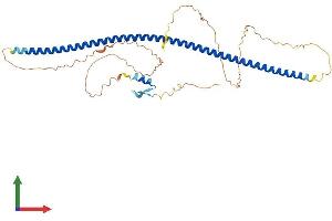 Protein Structure (PS) image for Zinc Finger Protein 365 (ZNF365) (AA 1-407) protein (His tag) (ABIN7545799)