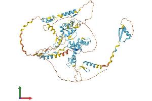 Protein Structure (PS) image for Zinc Finger Protein 526 (ZNF526) (AA 1-670) protein (His tag) (ABIN7545664)