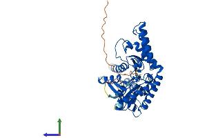 Protein Structure (PS) image for Selenocysteine Lyase (SCLY) (AA 1-445) protein (His tag) (ABIN7545988)