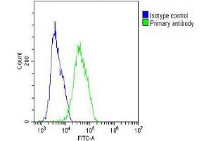 Overlay histogram showing MCF-7 cells stained with (ABIN654618 and ABIN2844316) (green line). (CES2 抗体  (AA 340-369))