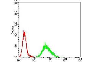 Flow cytometric analysis of Hela cells using CIDEC mouse mAb (green) and negative control (red). (CIDEC 抗体  (AA 53-141))
