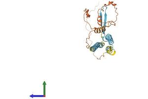 AlphaFold protein structure predicition of Human Recombinant TVP23C Protein, UniprotID Q96ET8 (TVP23C/FAM18B2 Protein (AA 1-276) (His tag))