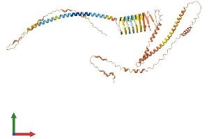 Protein Structure (PS) image for Involucrin (IVL) (AA 1-585) protein (His tag) (ABIN7548555)