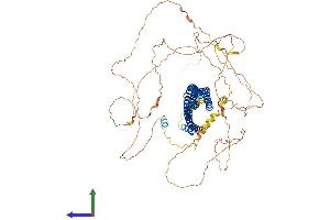 AlphaFold protein structure predicition of Mouse Recombinant Mtss1 Protein, UniprotID Q8R1S4