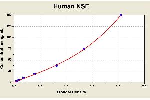 Diagramm of the ELISA kit to detect Human NSEwith the optical density on the x-axis and the concentration on the y-axis.