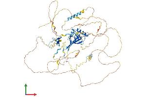 AlphaFold protein structure predicition of Mouse Recombinant Pwwp2a Protein, UniprotID Q69Z61 (PWWP2A Protein (AA 1-730) (His tag))