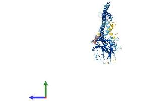 Protein Structure (PS) image for Tripartite Motif Containing 39 (TRIM39) (AA 1-488) protein (His tag) (ABIN7561477)