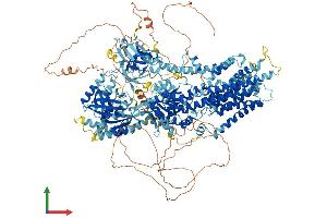 Protein Structure (PS) image for ATPase, Class V, Type 10A (ATP10A) (AA 1-1508) protein (His tag) (ABIN7562424)