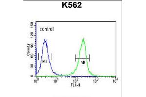 Flow cytometric analysis of K562 cells (right histogram) compared to a negative control cell (left histogram). (FAN1 抗体  (N-Term))