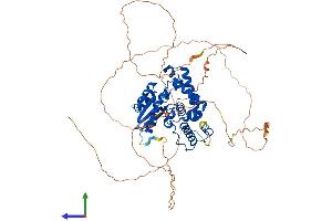 AlphaFold protein structure predicition of Mouse Recombinant Eya1 Protein, UniprotID P97767