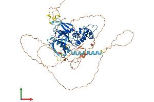 Protein Structure (PS) image for FERM Domain Containing 6 (FRMD6) (AA 1-622) protein (His tag) (ABIN7559089)