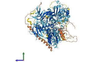 Protein Structure (PS) image for NLR Family, Pyrin Domain Containing 1B (NLRP1B) (AA 1-1177) protein (His tag) (ABIN7561858)