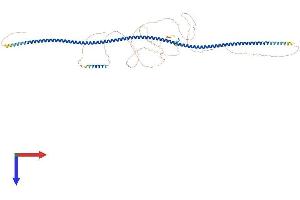 CCDC62 Protein (AA 1-684) (His tag)