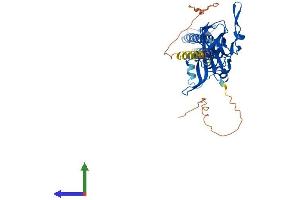 Protein Structure (PS) image for Potassium Inwardly-Rectifying Channel, Subfamily J, Member 12 (KCNJ12) (AA 1-433) protein (His tag) (ABIN7554319)