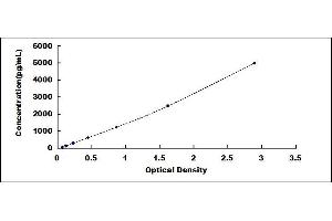 Typical standard curve (ABCA7 ELISA 试剂盒)