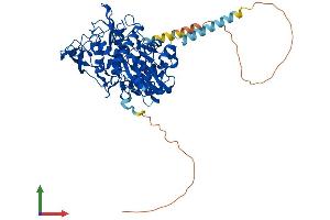 Protein Structure (PS) image for ARP8 Actin-Related Protein 8 Homolog (ACTR8) (AA 1-624) protein (His tag) (ABIN7552407)