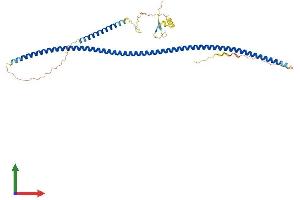 AlphaFold protein structure predicition of Mouse Recombinant Tuft1 Protein, UniprotID O08970
