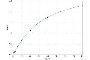 A typical standard curve (Involucrin ELISA 试剂盒)