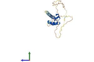 AlphaFold protein structure predicition of Human Recombinant SAMD10 Protein, UniprotID Q9BYL1