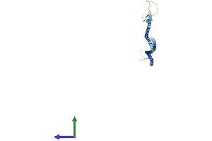 AlphaFold protein structure predicition of Human Recombinant IKBKG Protein, UniprotID Q9Y6K9