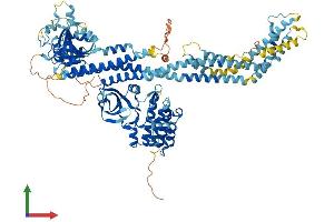 Protein Structure (PS) image for Dual serine/threonine and tyrosine Protein Kinase (DSTYK) (AA 1-927) protein (His tag) (ABIN7564155)