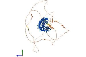Protein Structure (PS) image for Armadillo Repeat Containing, X-Linked 2 (ARMCX2) (AA 1-632) protein (His tag) (ABIN7552304)