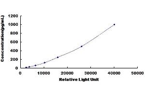 Typical standard curve (IL17F CLIA Kit)