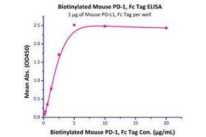 Binding Studies (Bind) image for CD274 (PD-L1) (AA 19-238) (Active) protein (Fc Tag) (ABIN2181638)