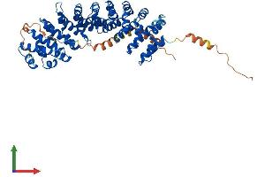 Protein Structure (PS) image for Karyopherin alpha 7 (Importin alpha 8) (KPNA7) (AA 1-516) protein (His tag) (ABIN7548479)