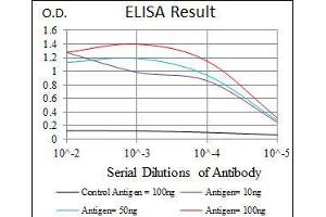 Black line: Control Antigen (100 ng), Purple line: Antigen(10 ng), Blue line: Antigen (50 ng), Red line: Antigen (100 ng), (HAS3 抗体)