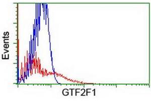 HEK293T cells transfected with either RC201294 overexpress plasmid (Red) or empty vector control plasmid (Blue) were immunostained by anti-GTF2F1 antibody (ABIN2455071), and then analyzed by flow cytometry. (GTF2F1 抗体)