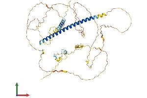 Protein Structure (PS) image for Shugoshin 1 (SGOL1) (AA 1-517) protein (His tag) (ABIN7564961)