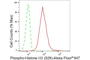 Flow cytometric analysis of Phospho-Histone H3 (S28) expression in C2C12 cells using Phospho-Histone H3 (S28) antibody (ABIN7798976), 1:2,000). (Recombinant Histone 3 抗体  (H3S28ph))