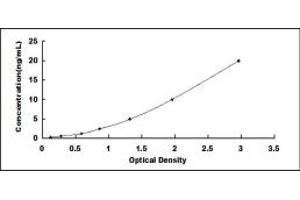 Typical standard curve (Ferritin Mitochondrial ELISA 试剂盒)