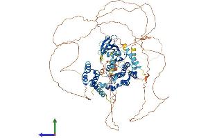 AlphaFold protein structure predicition of Human Recombinant NEK4 Protein, UniprotID P51957 (NEK4 Protein (AA 1-841) (His tag))
