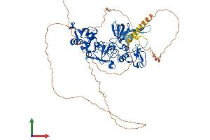 Protein Structure (PS) image for Metal Response Element Binding Transcription Factor 2 (MTF2) (AA 1-593) protein (His tag) (ABIN7554616)