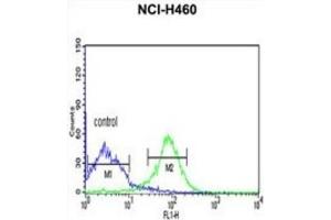 Flow Cytometry (FACS) image for anti-FK506 Binding Protein 14, 22 KDa (FKBP14) antibody (ABIN3002691) (FKBP14 抗体)