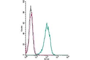 Cell surface detection of FPR2 by indirect flow cytometry in live intact human  monocytic leukemia cells: + goat-anti-rabbit-FITC.