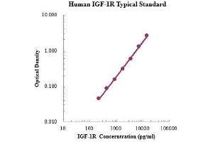Insulin-Like Growth Factor 1 Receptor (IGF1R) ELISA Kit