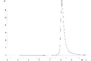 Size-exclusion chromatography-High Pressure Liquid Chromatography (SEC-HPLC) image for beta-2-Microglobulin (B2M) (AA 21-119) protein (His tag) (ABIN7273888)