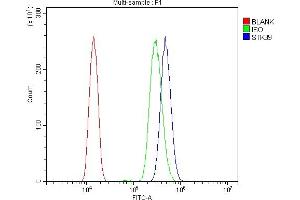 Flow Cytometry analysis of HL-60 cells using anti-SPAK/STK39 antibody (ABIN7601373).