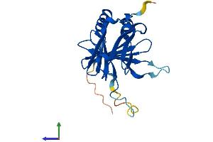 AlphaFold protein structure predicition of Mouse Recombinant Dpcd Protein, UniprotID Q8BPA8 (DPCD Protein (AA 1-203) (His tag))